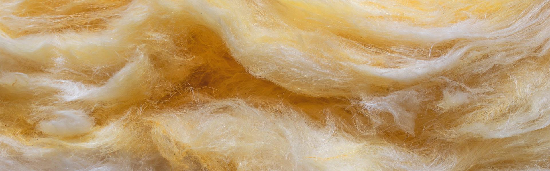 General Questions & Answers